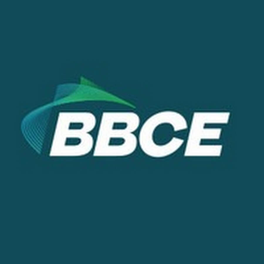 leilão de capacidade de energia e mercado elétrico brasileiro